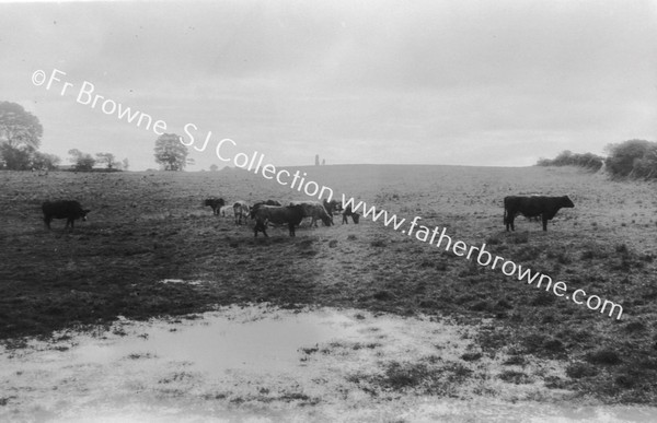 CLOGH AN FEAR MOR WHERE CUCHULLIN DIED  LOAGH TANAIGHE AND STONE IN DISTANCE